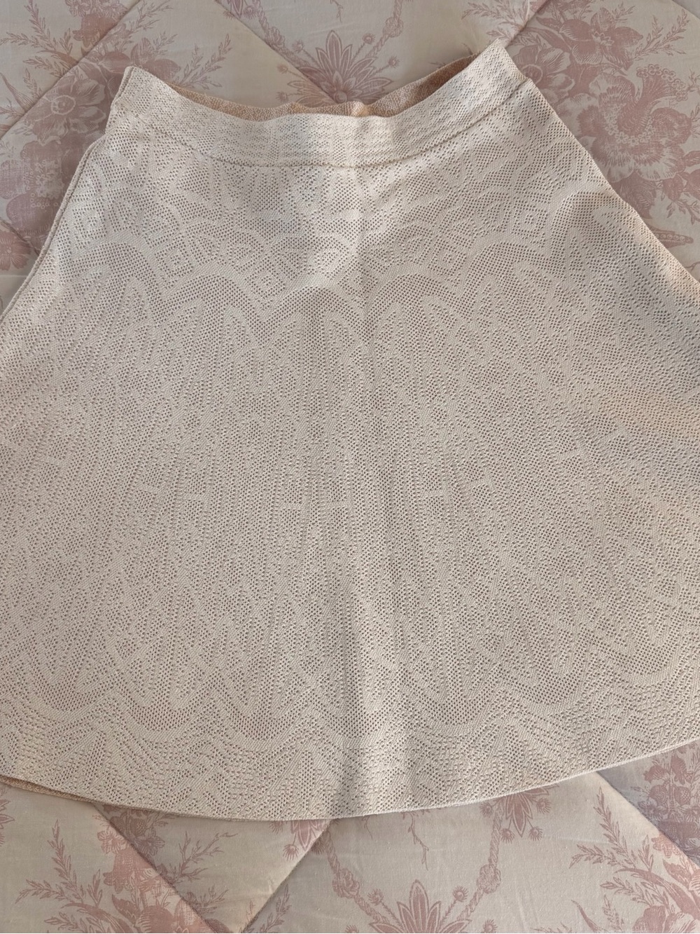 BCBGMaxAzria Gardena Lace A-Line Skirt